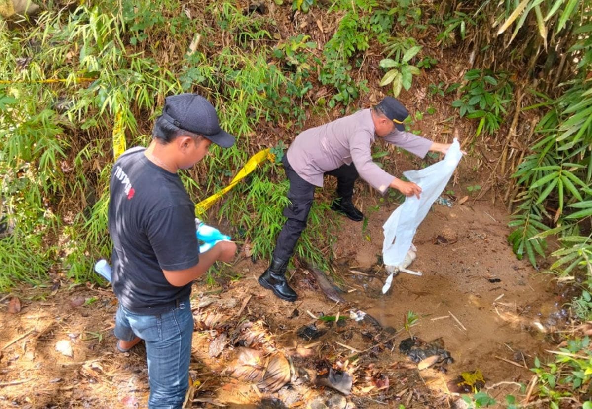 Dikira Boneka, Jasad Bayi Ditemukan dan Gegerkan Warga Wonogiri