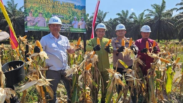 Gelar Panen Raya Jagung, Polres Inhu Komitmen Perkuat Ketahanan Pangan Daerah