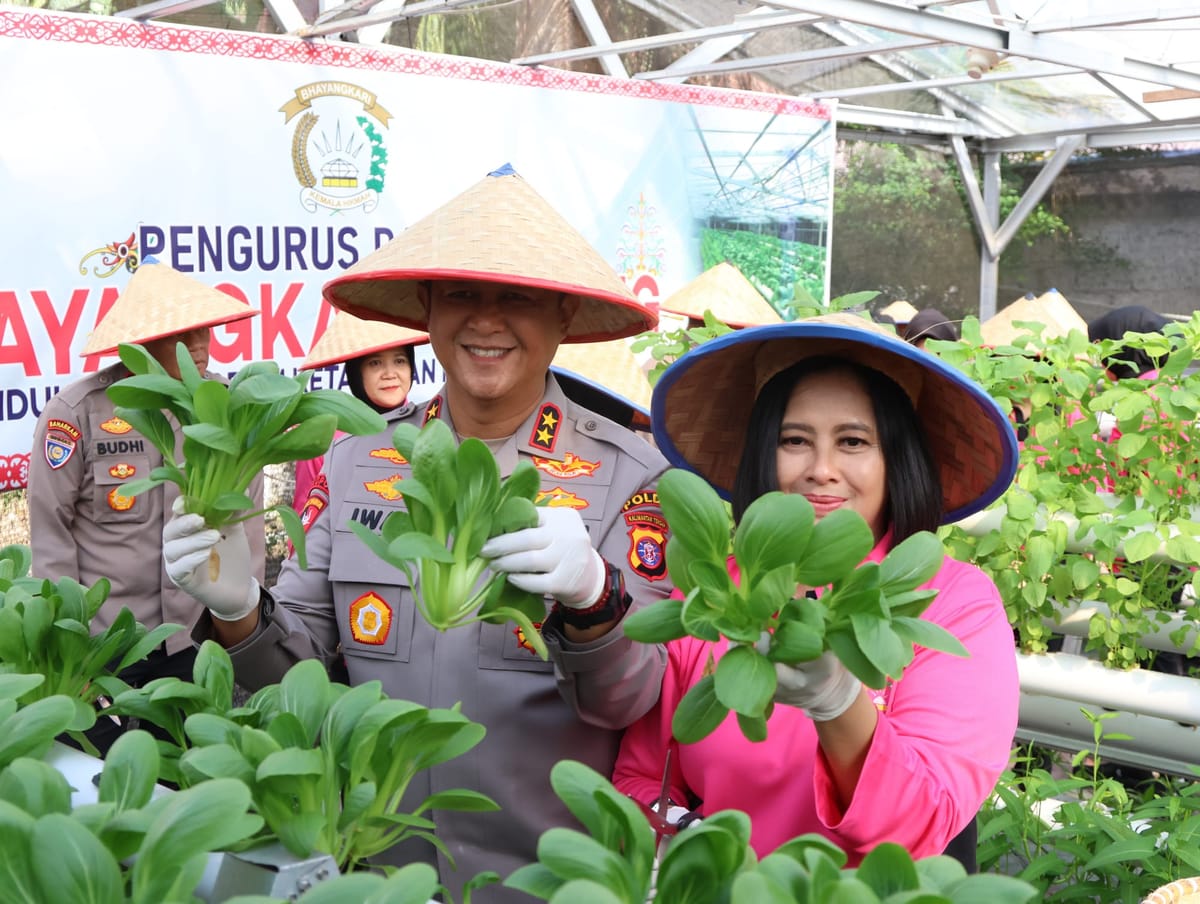 Kapolda Kalteng dan Bhayangkari Panen Sayur, Dukung Ketahanan Pangan Lokal