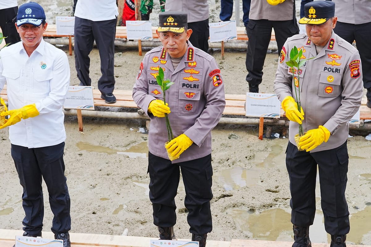 Kapolri Tanam Mangrove di Kalbar: Ini Warisan untuk Anak-Cucu Kita