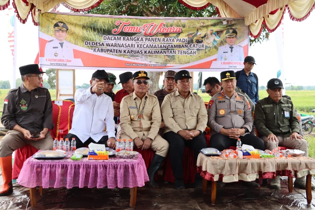 Panen Raya Padi di Kapuas: Kolaborasi Kapolda Kalteng dan Gubernur Dorong Swasembada Pangan
