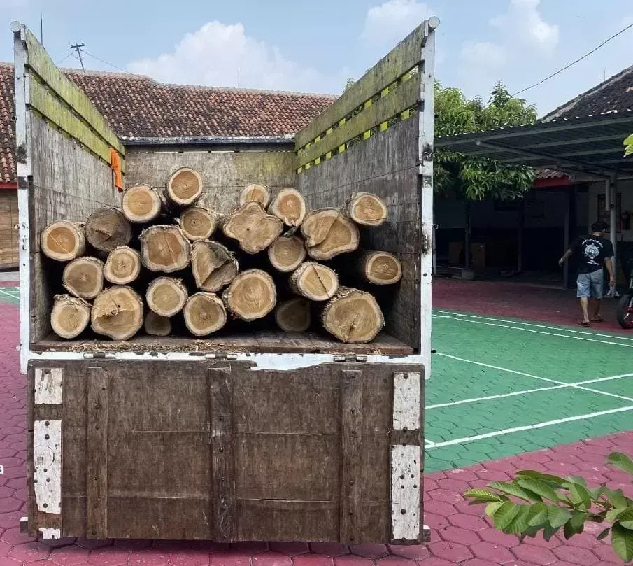 Polres Sragen Ungkap Kasus Pembalakan Liar, Dua Pelaku Diamankan, Satu Tewas