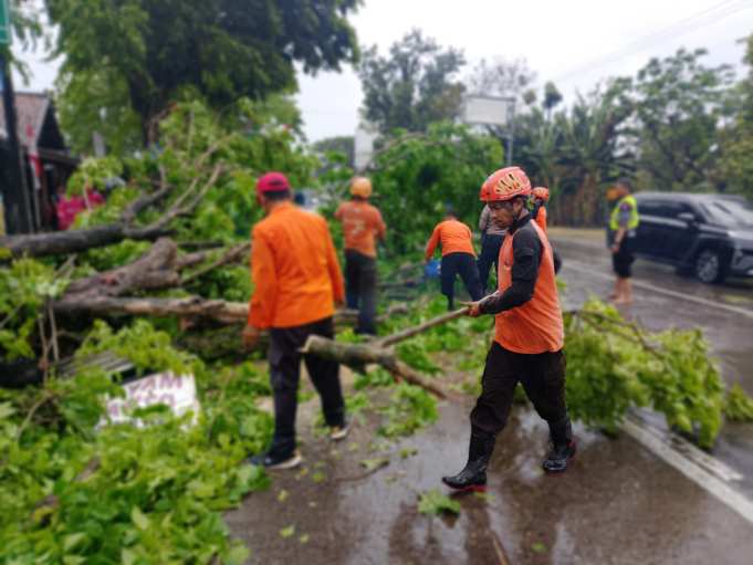 Puting Beliung Hantam Grobogan, Pohon Tumbang Timpa Truk