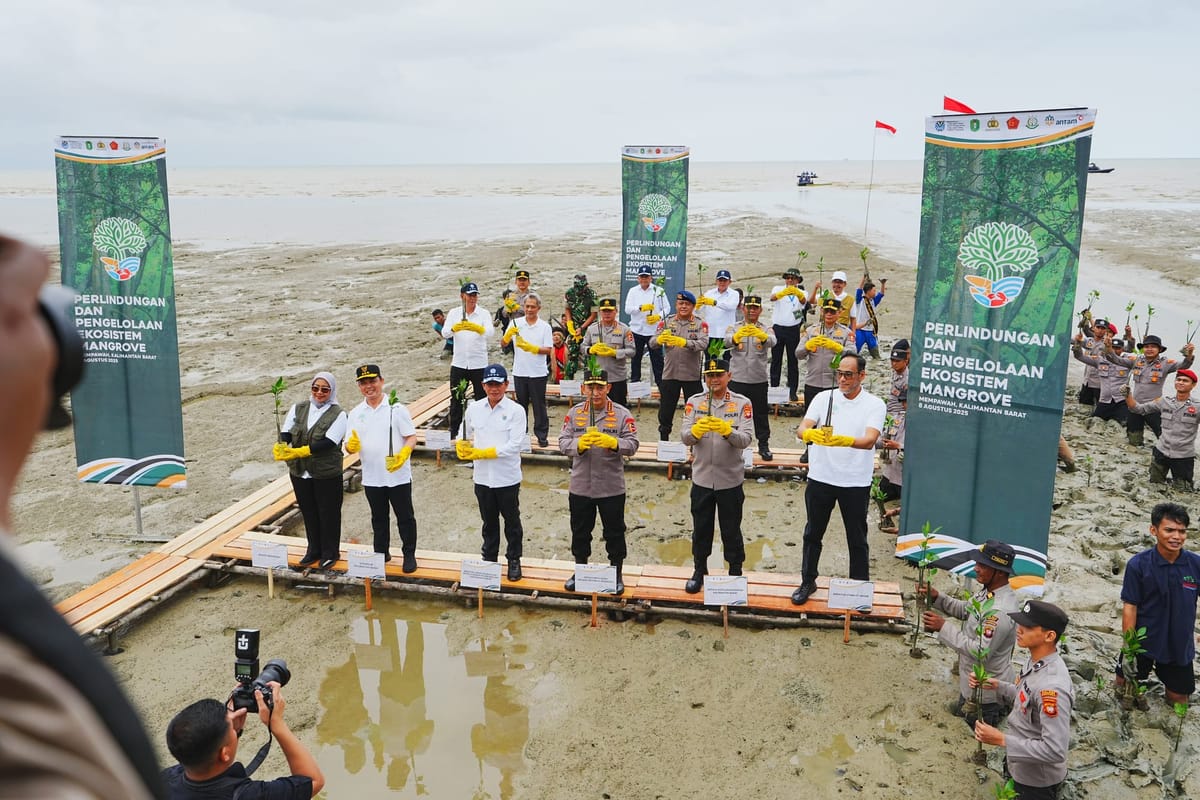 Tanam Mangrove di Kalbar, Kapolri Ajak Jaga Lingkungan Demi Masa Depan Anak Cucu