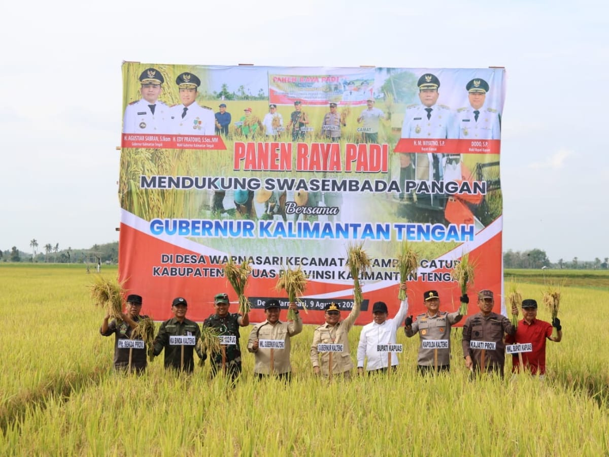 Wujudkan Ketahanan Pangan, Kapolda Kalteng dan Gubernur Ikut Panen Padi di Kapuas