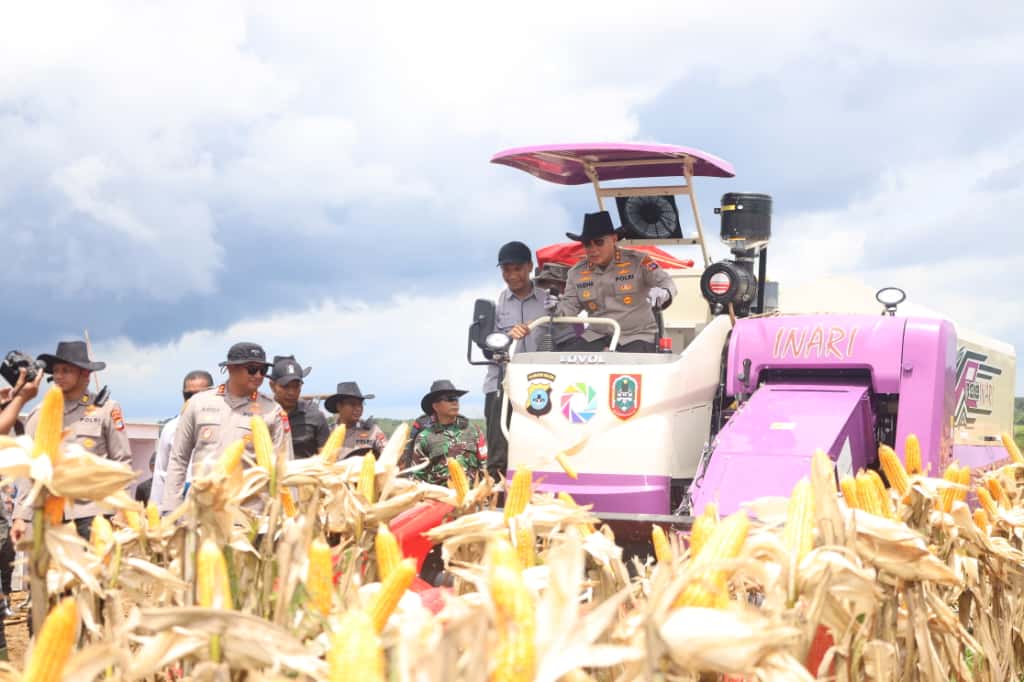 Panen Raya Jagung Serentak 2025, Kapolda Kalsel Turun Langsung di Satui Tanah Bumbu