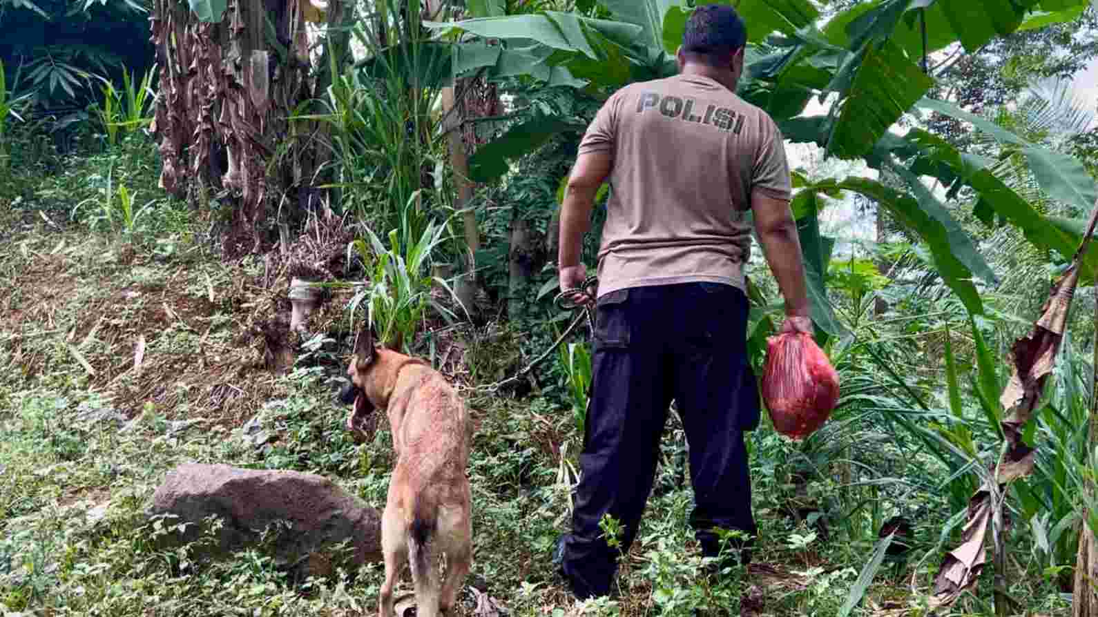Pencarian Lansia Hilang di Tanjung Jepara Libatkan Anjing Pelacak