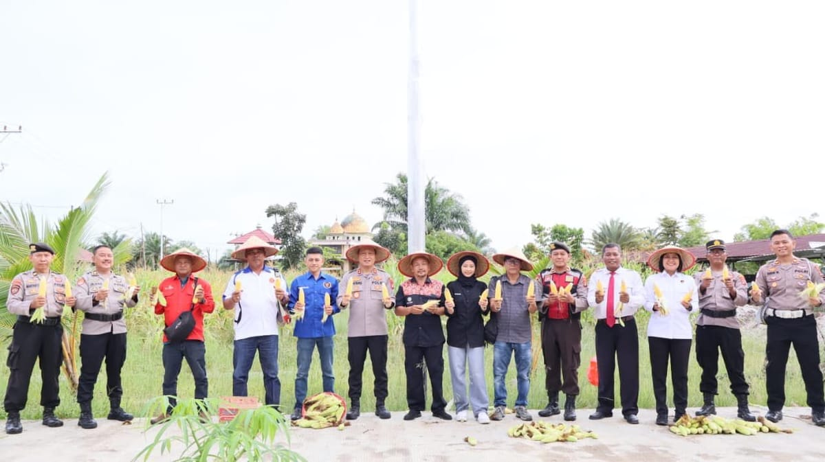 Sinergi dengan Media, Kapolres Barsel Gelar Panen Jagung dan Coffee Morning