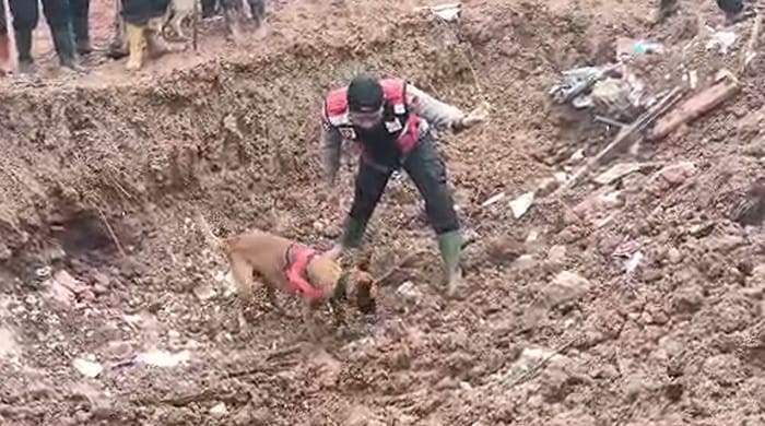 378 Anggota hingga Unit K9 Diterjunkan Polda Jateng dalam Pencarian Korban Longsor Banjarnegara