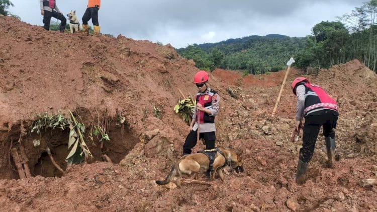 Kabid Humas Polda Jateng Sebut Unit K9 Percepat Pencarian Korban Longsor Majenang