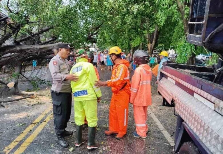 Kota Malang Dilanda Puting Beliung, Belasan Pohon Tumbang dan Warga Luka