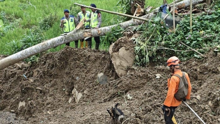 Longsor Banjarnegara Telan 14 Korban Jiwa, 15 Warga Belum Ditemukan