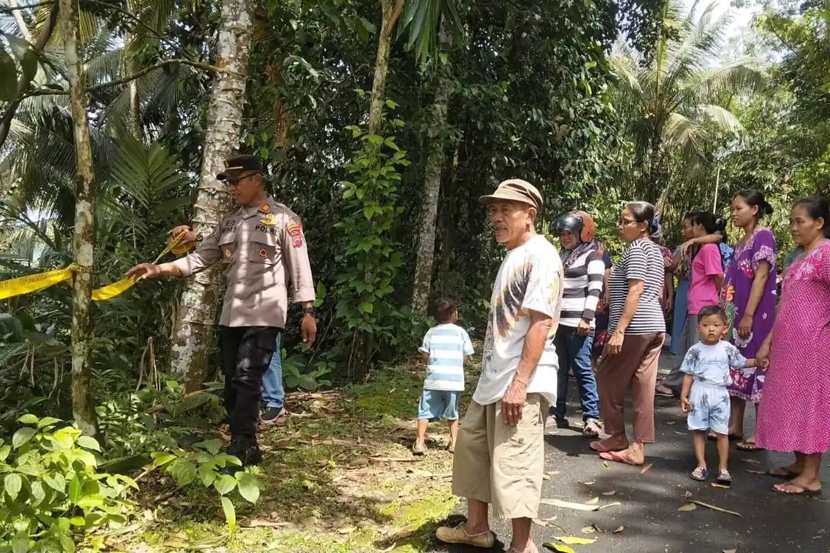 Longsor di Lereng Sungai Logawa Banyumas Timbun Sawah dengan Material Setinggi 30 Meter