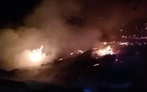 Kandang Ayam di Sragi Pekalongan Ludes Terbakar, Pemilik Pasrah Bangunan Hangus