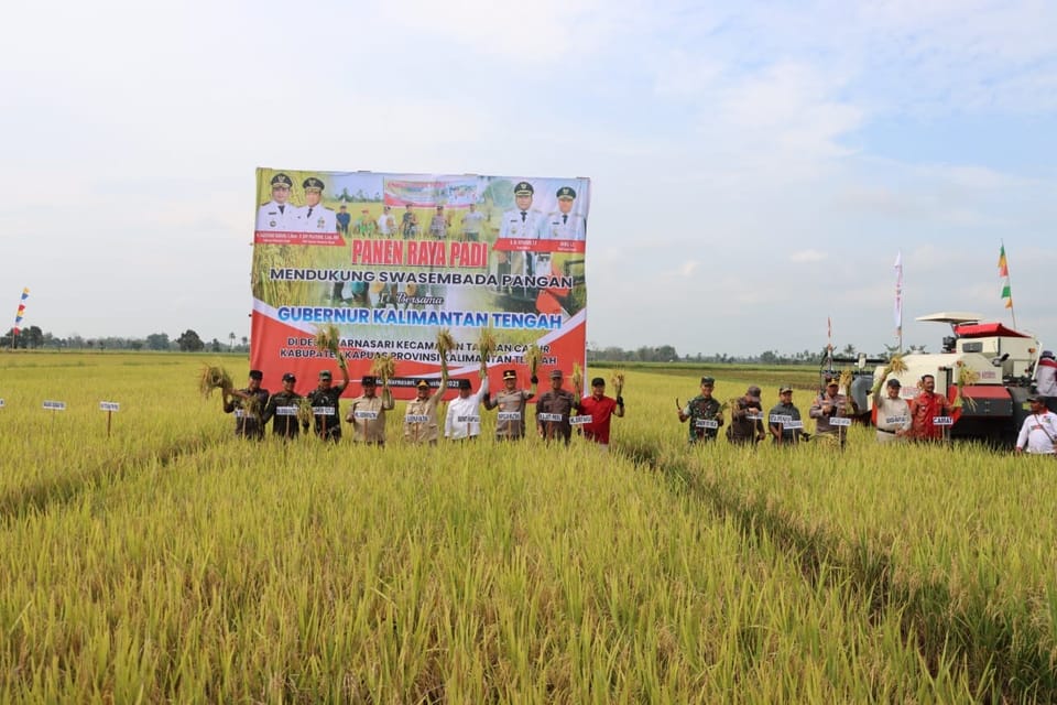 Kapolda Kalteng dan Gubernur Panen Raya Padi di Kapuas, Wujud Dukungan terhadap Ketahanan Pangan