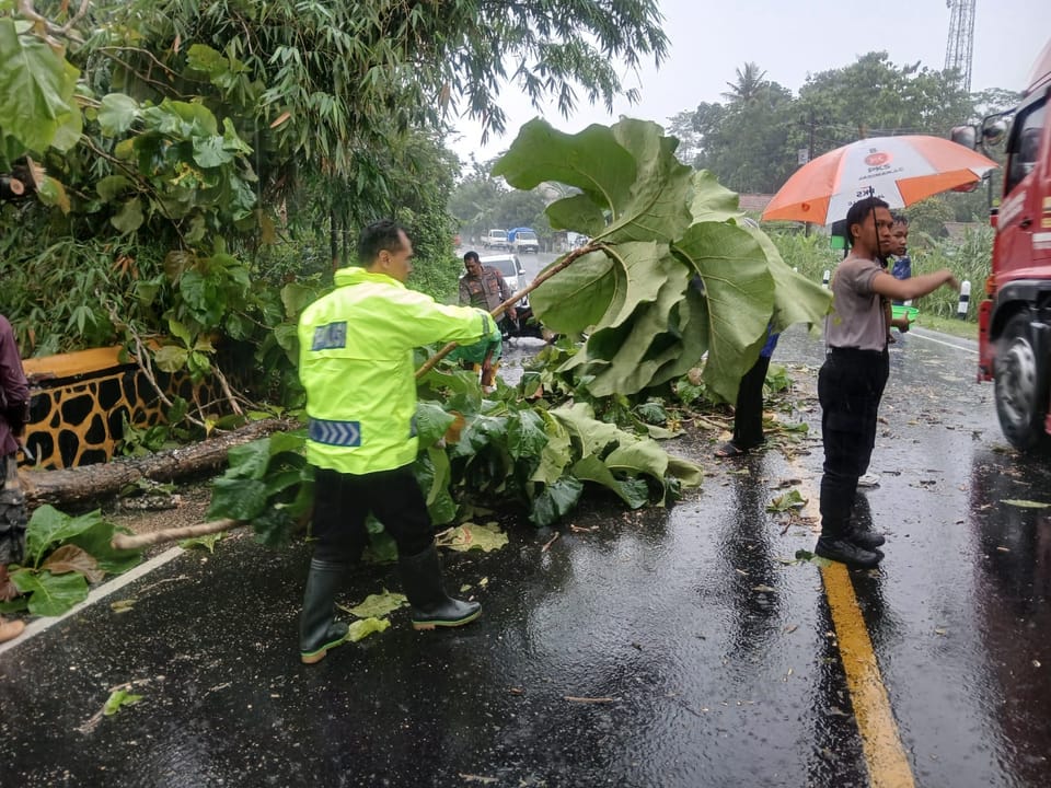 Gerak Cepat, Polsek Jeruklegi Evakuasi Pohon Tumbang yang Tutup Akses Jalan