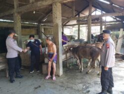 Kapolsek Turun Langsung Berikan Edukasi Tentang Penyakit Mulut dan Kuku Pada Peternak sapi