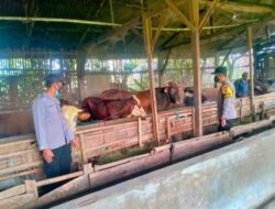 Antisipasi Virus PMK, Bhabinkamtibmas Lakukan Pengecekan Peternakan Hewan Ternak Desa Binaan