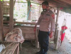 Antisipasi Merebaknya Wabah PMK, Bhabinkamtibmas Monitoring Hewan Ternak di wilayah Mijen