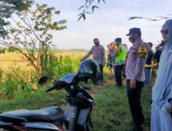 BREAKING NEWS: Mayat Pria Ditemukan Tergantung di Tengah Sawah di Desa Tegalsari Demak