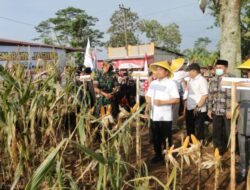 Petani di Kabupaten Pemalang Berharap Pemerinta Perhatikan Ketersediaan Pupuk