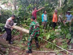 Pohon Tumbang Timpa Rumah Warga Punggelan, Polisi Bantu Evakuasi