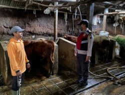 Polres Banjarnegara Monitoring Peternak dan Pasar Hewan Untuk Cegah PMK