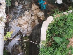 30-an Karung Bangkai Ayam Dibuang ke Sungai di Salatiga, Awalnya Warga Cium Bau Menyengat