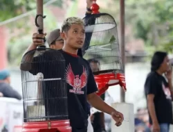 Cara Unik Relawan Sosialisasikan Figur Ganjar Pranowo Lewat Lomba Kicau Burung di Salatiga