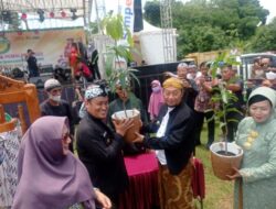 Festival Mangga Pemalang 2022 Ajang Promosi Produk Mangga Unggulan Kabupaten Pemalang