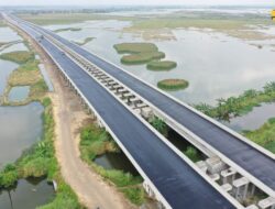 Jalan Tol dari Bambu Rampung Dibuat, Ruas Semarang-Demak Seksi 2 Operasi Akhir 2022