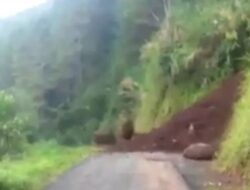 Detik-detik Longsor di Banjarnegara Terekam Kamera, Batu Sebesar Mobil Menggelinding ke Jalan