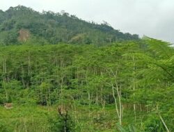 Melihat Lagi TKP Longsor Dusun Banjarnegara yang Tewaskan 125 Orang