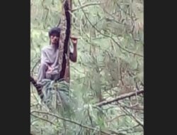 Viral Pria Pemalang Nangkring di Pohon Berhari-Hari Tak Mau Turun