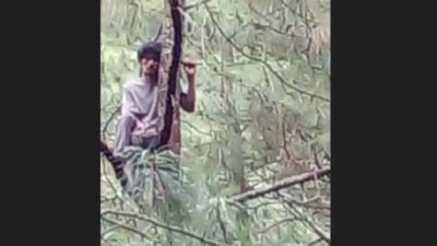 Viral Pria Pemalang Nangkring di Pohon Berhari-Hari Tak Mau Turun