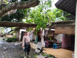 Angin Kencang Terjang Kawasan Waduk Gunung Rowo, Puluhan Bangunan Rusak
