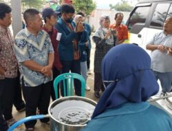 Didampingi Akademisi UNDIP, Petani Desa Majatengah Banjarnegara Belajar Menyuling Kapulaga Jadi Minyak Atsiri