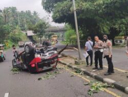 Diduga Mengantuk, Mobil Terbalik Usai Oleng dan Tabrak Pohon di JLS Salatiga