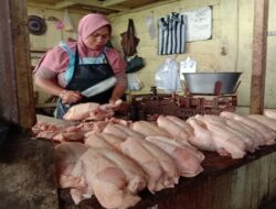Jelang Nataru, Harga Daging Ayam di Salatiga dan Semarang Merangkak Naik