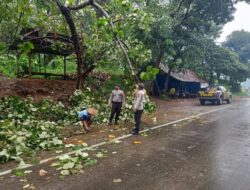 Langkah Cepat Polisi Evakuasi Pohon Tumbang di Pantura Batang