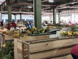 Lika Liku Pedagang Pasar Rejosari Salatiga Punya Paguyuban Baru