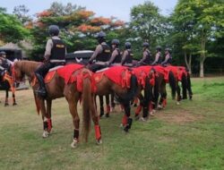 Pasukan Turangga, Polisi Berkuda yang Ikut Menciptakan Keamanan Delegasi KTT G20 di Bali