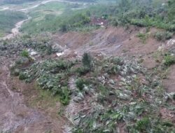 Petani di Banjarnegara Terpaksa Panggul Hasil Panen Akibat Jalan Putus Karena Tanah Gerak