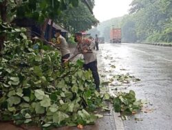 Respon Cepat Personel Polsek Limpung Bersama Warga Evakuasi Pohon Tumbang