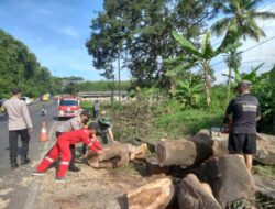 Respon Cepat Personel TNI Polri Singkirkan Pohon Tumbang