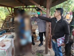 Seorang Pria Ditemukan Meninggal Gantung Diri di Kandang Ayam Bulungan Tayu, Polisi Ungkap Kronologisnya