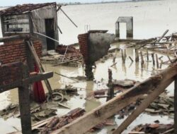 Tanggul Laut Jadi Solusi Jangka Panjang Antisipasi Banjir Rob di Desa Bedono Kabupaten Demak