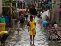 Hujan Deras Tadi Malam, Desa Purworejo dan TPI Morodemak Demak Terendam Banjir Disertai Rob
