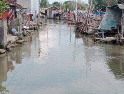 Dinputaru Demak Tak Sanggup Bila Atasi Sendiri 4 Kecamatan Imbas Banjir Rob
