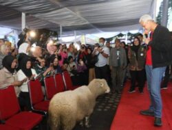 Ganjar Temui Petani Banjarnegara untuk Kembangkan Domba Batur